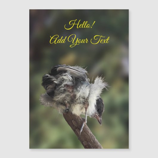 Tidi my Bird the Parus major Magnetic Card Magnetkarte (Vorderseite)