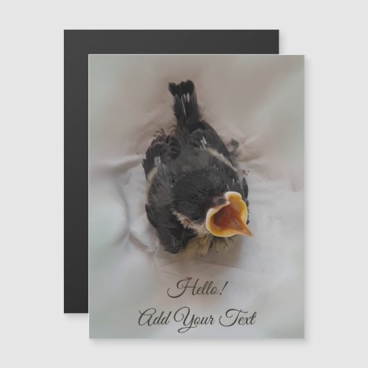 Tidi my Bird the Parus major Magnetic Card Magnetkarte (Vorne/Hinten)