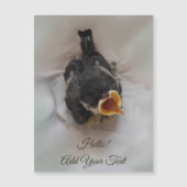 Tidi my Bird the Parus major Magnetic Card Magnetkarte (Vorderseite)