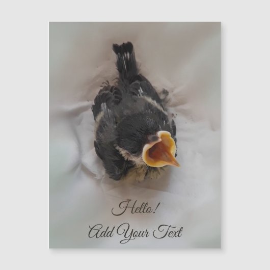 Tidi my Bird the Parus major Magnetic Card Magnetkarte (Vorderseite)