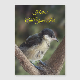 Tidi my Bird the Parus major Magnetic Card Magnetkarte