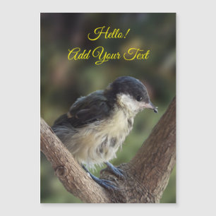 Tidi my Bird the Parus major Magnetic Card Magnetkarte