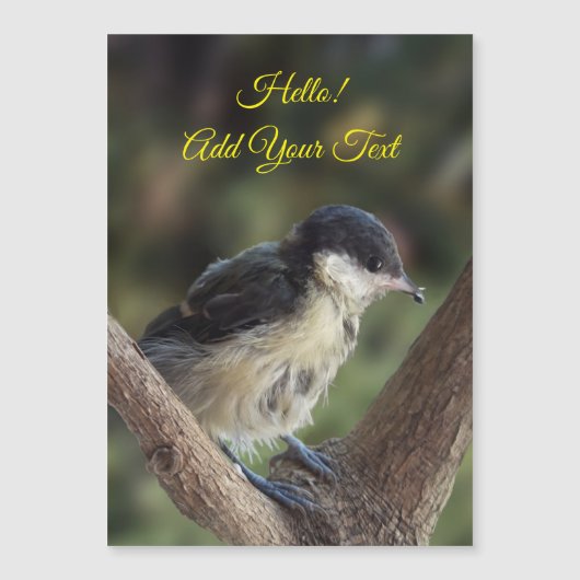 Tidi my Bird the Parus major Magnetic Card Magnetkarte (Vorderseite)