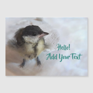 Tidi my Bird the Parus major Magnetic Card Magnetkarte