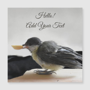 Tidi my Bird the Parus major Magnetic Card Magnetkarte