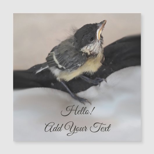 Tidi my Bird the Parus major Magnetic Card Magnetkarte (Vorderseite)