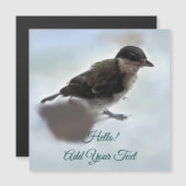 Tidi my Bird the Parus major Magnetic Card Magnetkarte (Vorne/Hinten)