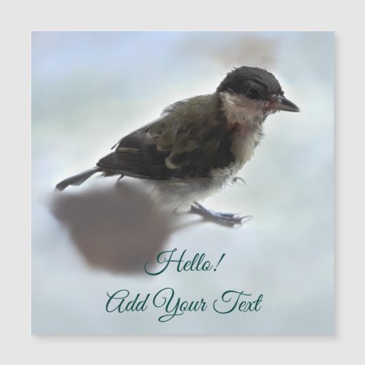 Tidi my Bird the Parus major Magnetic Card Magnetkarte (Vorderseite)