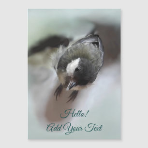Tidi my Bird the Parus major Magnetic Card Magnetkarte
