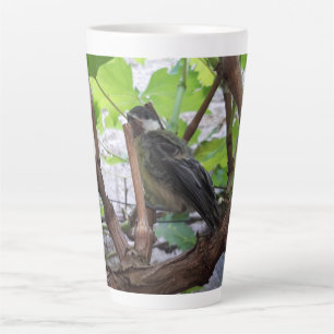 Tidi my Bird the Parus Major Milchtasse