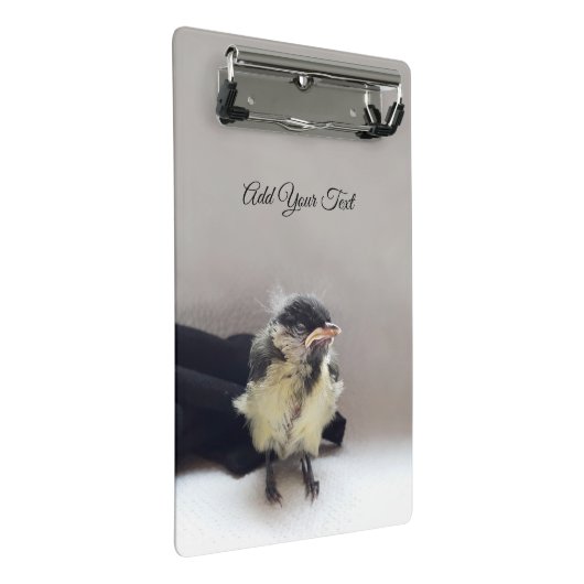 Tidi my Bird the Parus Major Mini Klemmbrett (Schrägansicht)