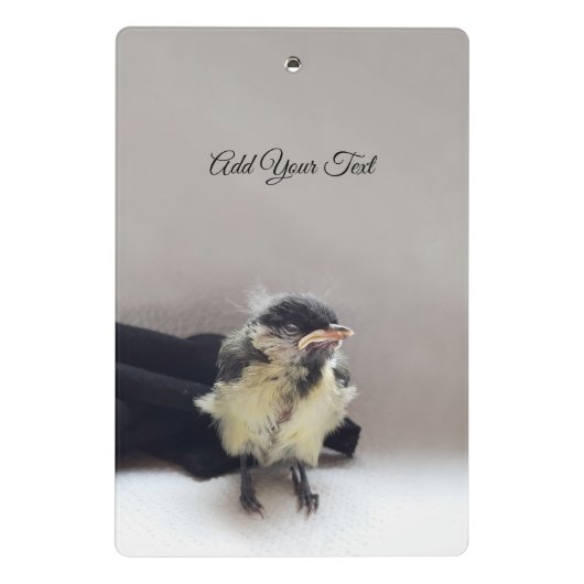 Tidi my Bird the Parus Major Mini Klemmbrett (Rückseite)