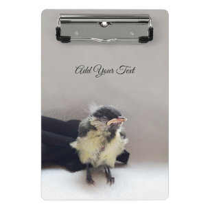 Tidi my Bird the Parus Major Mini Klemmbrett