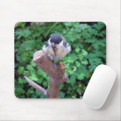 Tidi my Bird the Parus Major Mousepad (Mit Mouse)