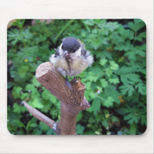 Tidi my Bird the Parus Major Mousepad