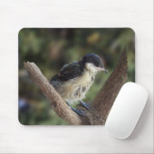 Tidi my Bird the Parus Major Mousepad (Mit Mouse)