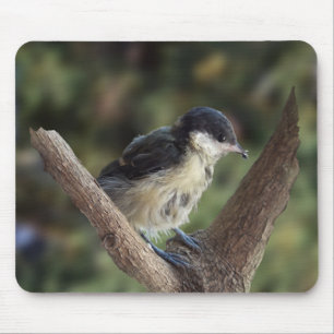 Tidi my Bird the Parus Major Mousepad