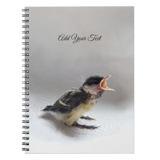 Tidi my Bird the Parus Major Notizblock (Vorderseite)