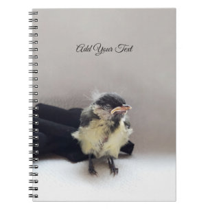 Tidi my Bird the Parus Major Notizblock