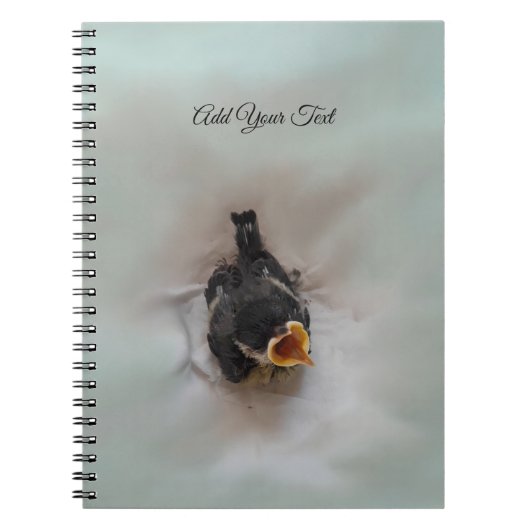 Tidi my Bird the Parus Major Notizblock (Vorderseite)