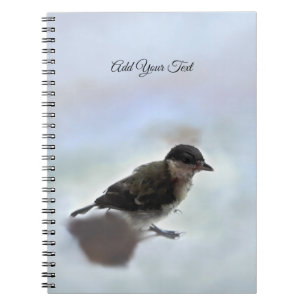Tidi my Bird the Parus Major Notizblock
