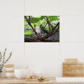Tidi my Bird the Parus Major Poster (Küche)