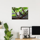 Tidi my Bird the Parus Major Poster (Heimbüro)