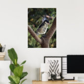 Tidi my Bird the Parus Major Poster (Heimbüro)