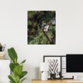 Tidi my Bird the Parus Major Poster (Heimbüro)