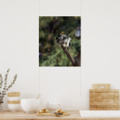 Tidi my Bird the Parus Major Poster (Küche)