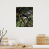 Tidi my Bird the Parus Major Poster (Küche)