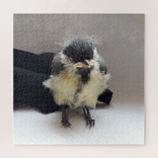 Tidi my Bird the Parus Major Puzzle (Horizontal)