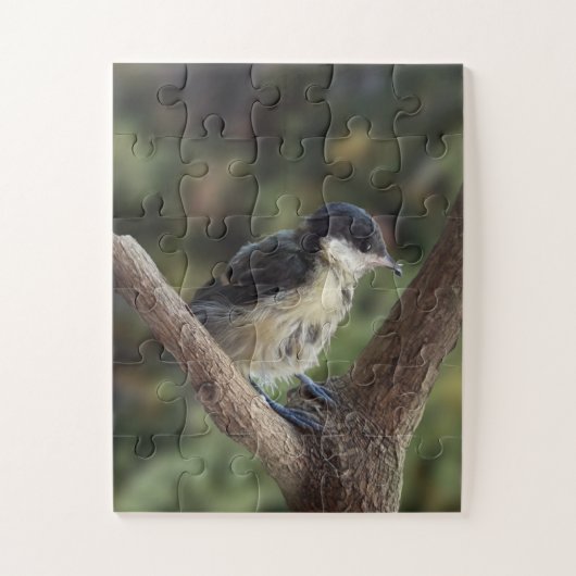 Tidi my Bird the Parus Major Puzzle (Vertikal)