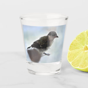 Tidi my Bird the Parus Major Schnapsglas