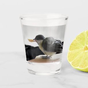 Tidi my Bird the Parus Major Schnapsglas