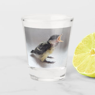 Tidi my Bird the Parus Major Schnapsglas