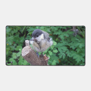 Tidi my Bird the Parus Major Schreibtischunterlage