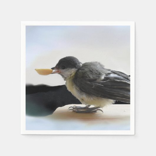 Tidi my Bird the Parus Major Serviette (Vorderseite)
