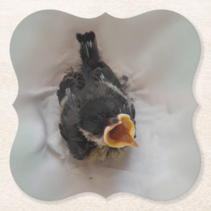 Tidi my Bird the Parus Major Untersetzer
