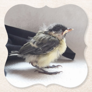 Tidi my Bird the Parus Major Untersetzer