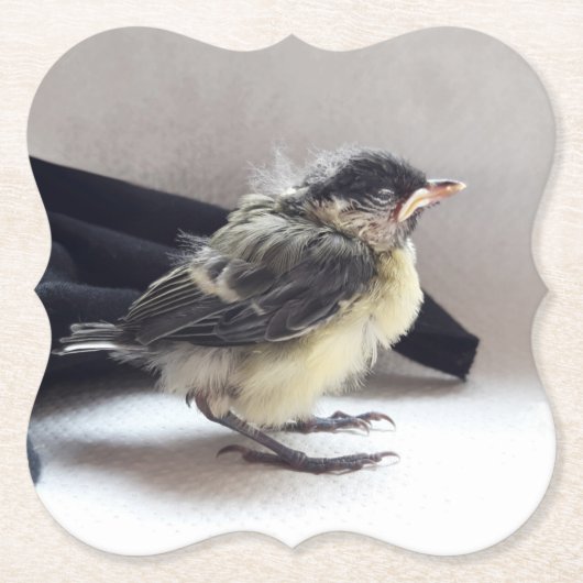 Tidi my Bird the Parus Major Untersetzer (Vorderseite)