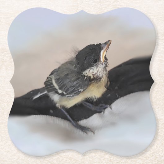 Tidi my Bird the Parus Major Untersetzer (Vorderseite)
