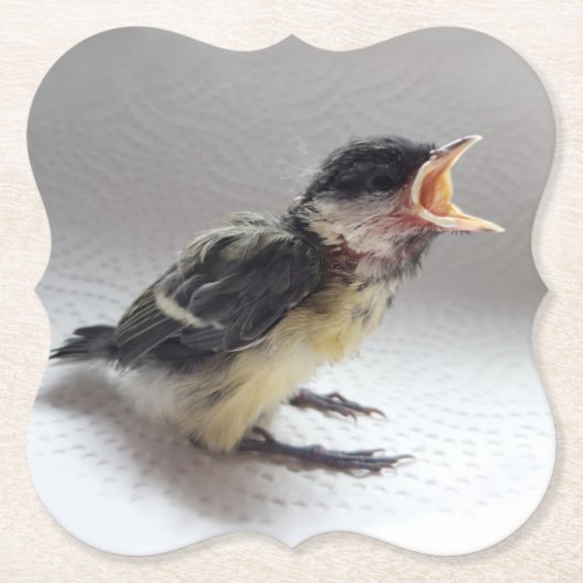 Tidi my Bird the Parus Major Untersetzer (Vorderseite)