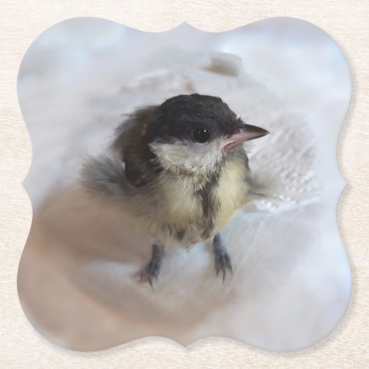 Tidi my Bird the Parus Major Untersetzer (Vorderseite)
