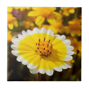 Tidy Tip Wildblumen Fliese