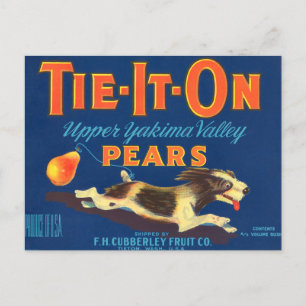 Tie-It-On Birnen Vintage-Werbung Postkarte