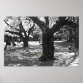 Tief durchdachte Gedanken Poster (Vorne)