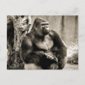 TIEF GEDANKTE Postkarte (Vorderseite)