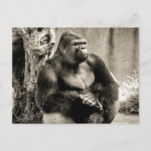 TIEF GEDANKTE Postkarte (Vorderseite)