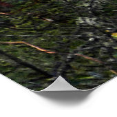 Tief im Land.... Poster (Ecke)